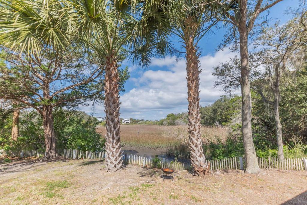 Marsh Front Birders Paradise Close To Beaches And Downtown St. Augustine Exteriör bild