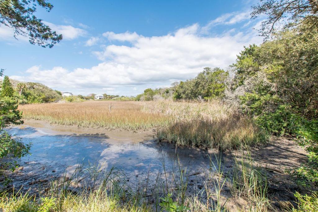Marsh Front Birders Paradise Close To Beaches And Downtown St. Augustine Exteriör bild